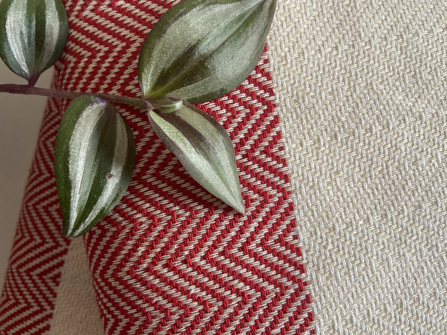 Camyuva Throw